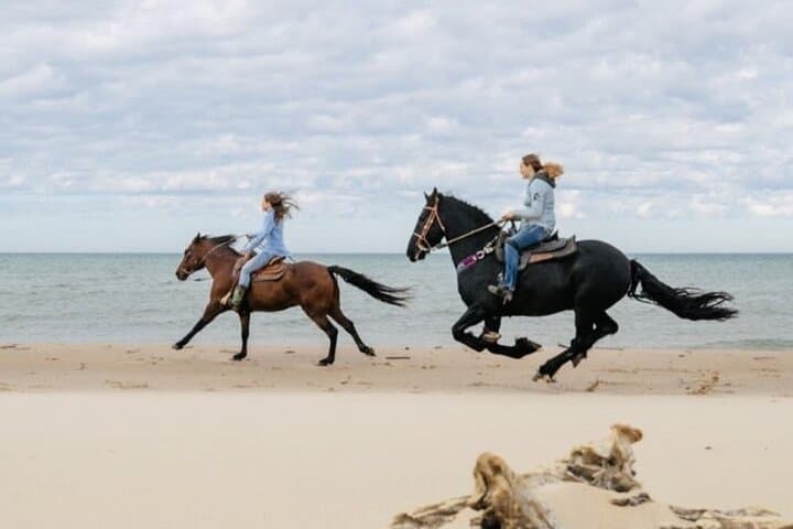 Ritoque Dunes Horseback Riding and Birdwatching Tour photo 3