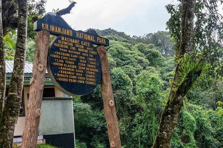 8-Day Kilimanjaro Machame Route Trek: Summit Uhuru Peak via the Whiskey Route