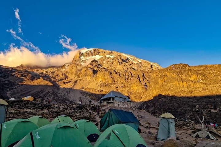 8-Day Kilimanjaro Machame Route Trek: Summit Uhuru Peak via the Whiskey Route photo 2