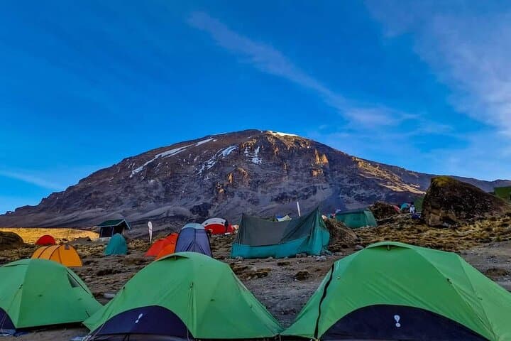 8-Day Kilimanjaro Machame Route Trek: Summit Uhuru Peak via the Whiskey Route photo 3