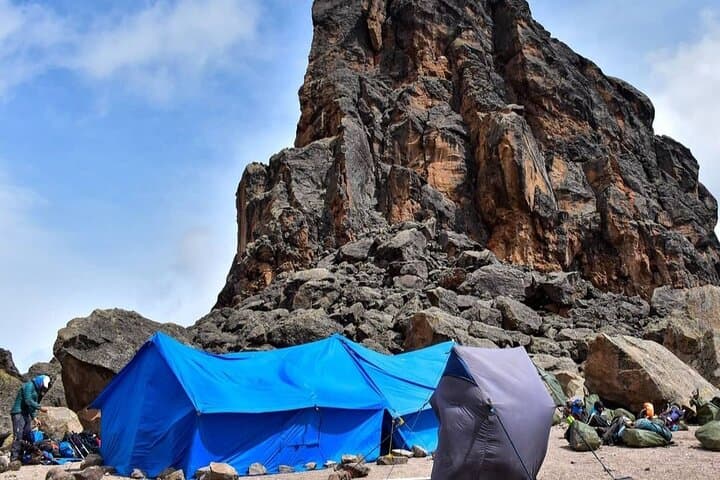 8-Day Kilimanjaro Machame Route Trek: Summit Uhuru Peak via the Whiskey Route photo 5