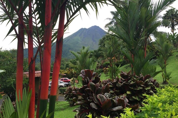 Arenal Volcano & Hot Springs Day Tour from San José photo 3