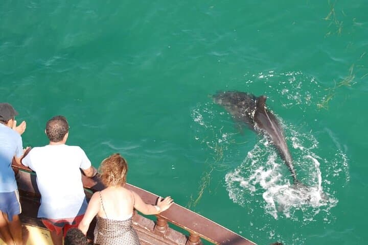 Pirate Boat to Flamingo Island — Djerba Day Trip with Lunch & Dolphins photo 3