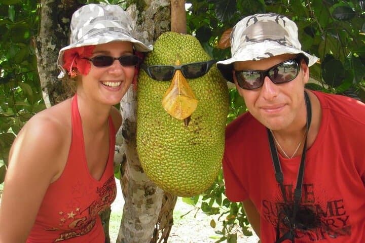 Kilim Geoforest Mangrove Boat Tour & Mardi Agrotechnology Fruit Park — Langkawi Day Trip