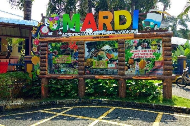 Kilim Geoforest Mangrove Boat Tour & Mardi Agrotechnology Fruit Park — Langkawi Day Trip photo 2