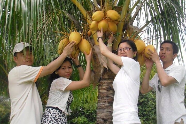 Kilim Geoforest Mangrove Boat Tour & Mardi Agrotechnology Fruit Park — Langkawi Day Trip photo 3