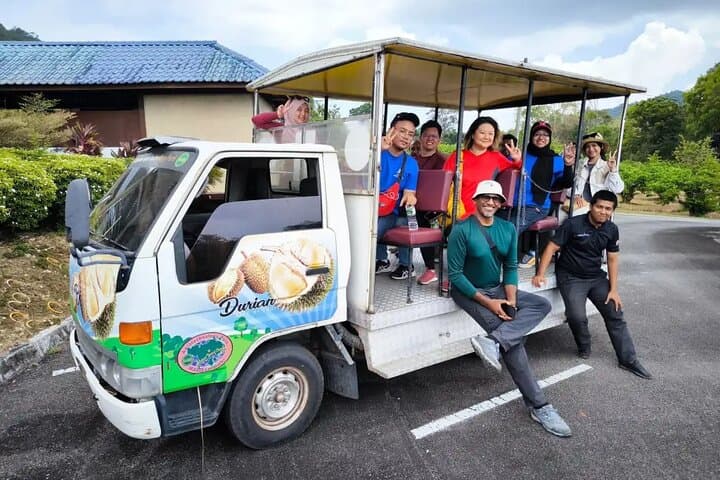 Kilim Geoforest Mangrove Boat Tour & Mardi Agrotechnology Fruit Park — Langkawi Day Trip photo 5