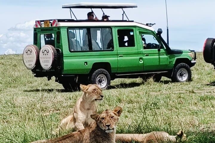 Nairobi Highlights: Giraffe Centre, Orphanage & Bomas Cultural Tour photo 2