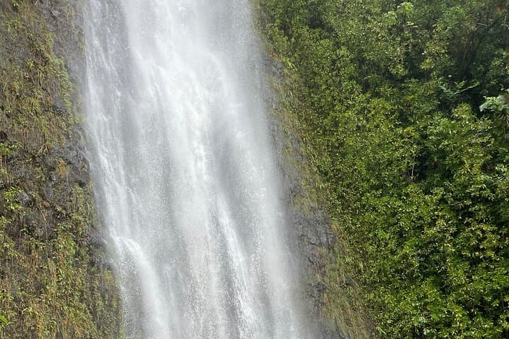 Oahu Circle Island Tour: Swim with Turtles, Diamond Head & North Shore photo 6