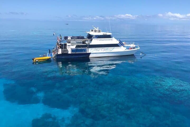 Cairns Best-Value Outer Barrier Reef Cruise with Snorkeling & Optional Scuba