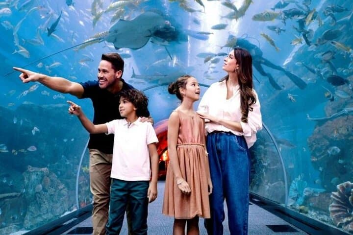 Inside Dubai Aquarium & Underwater Zoo: Walk the 48m Tunnel and Meet Sea Life photo 2