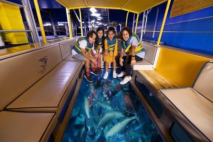Inside Dubai Aquarium & Underwater Zoo: Walk the 48m Tunnel and Meet Sea Life