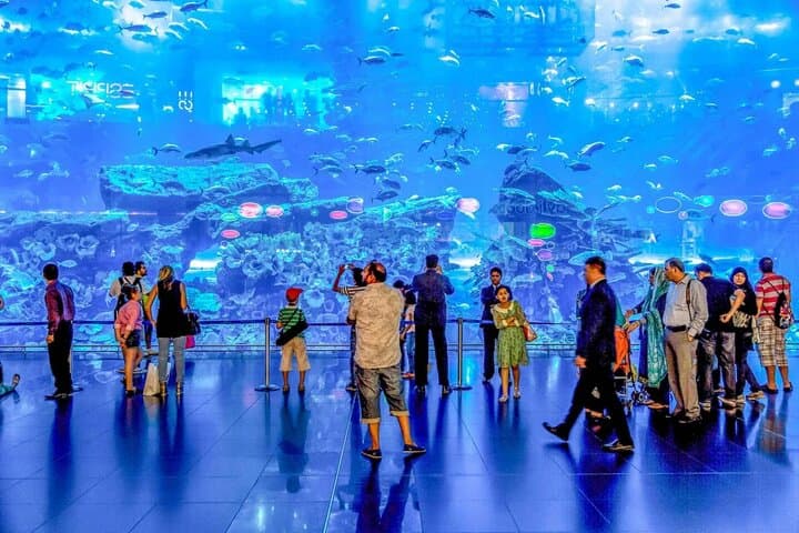 Inside Dubai Aquarium & Underwater Zoo: Walk the 48m Tunnel and Meet Sea Life photo 6