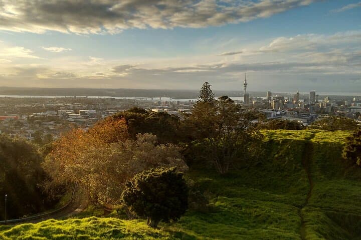 Piha Black-Sand & Mount Eden Private Tour from Auckland — Coastal Wilderness in a Day photo 4