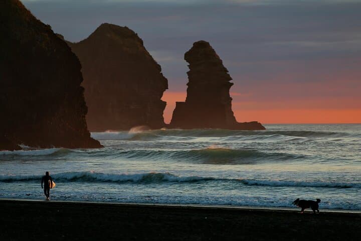 Piha Black-Sand & Mount Eden Private Tour from Auckland — Coastal Wilderness in a Day