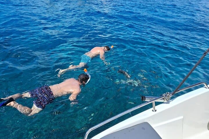 Half-Day Snorkeling: Sister, Coco & Félicité Islands (Praslin, Seychelles) photo 5