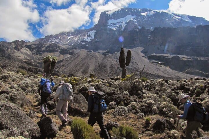 Conquer Kilimanjaro’s Lower Slopes: The Private Full Day Mandara Hike photo 6