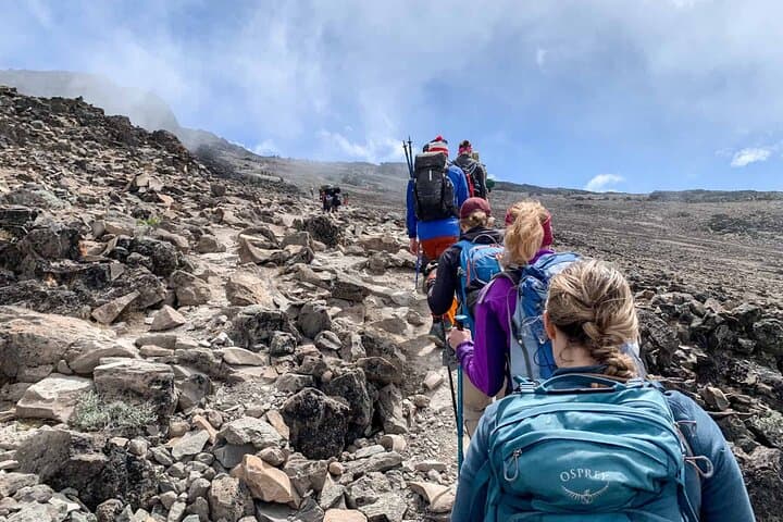 Conquer Kilimanjaro’s Lower Slopes: The Private Full Day Mandara Hike photo 4