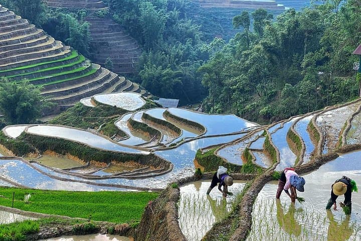 Sapa Explorer Trek: Half-Day Hike to Ta Van, Lao Chai & Y Linh Ho photo 3