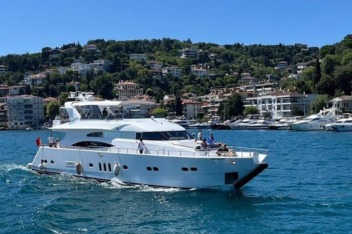 Luxury Bosphorus Yacht Cruise: Asian-Side Stop & Kanlıca Exploration photo 3