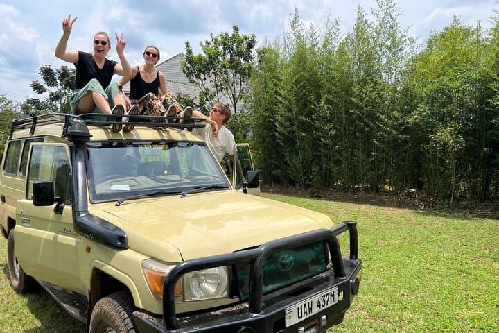 5-Day Uganda Safari: Chimp Trekking & Queen Elizabeth Wildlife Safari