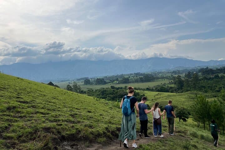 5-Day Uganda Safari: Chimp Trekking & Queen Elizabeth Wildlife Safari photo 4