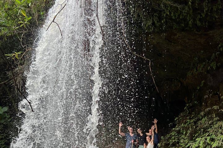 5-Day Uganda Safari: Chimp Trekking & Queen Elizabeth Wildlife Safari photo 5