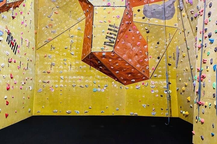 North Devon Indoor Climbing Taster Session — 1-Hour Top-Rope Intro