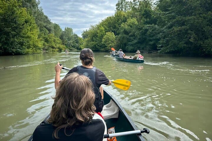 Paddle the Little Danube: 8km Canoe Trip from Bratislava photo 2