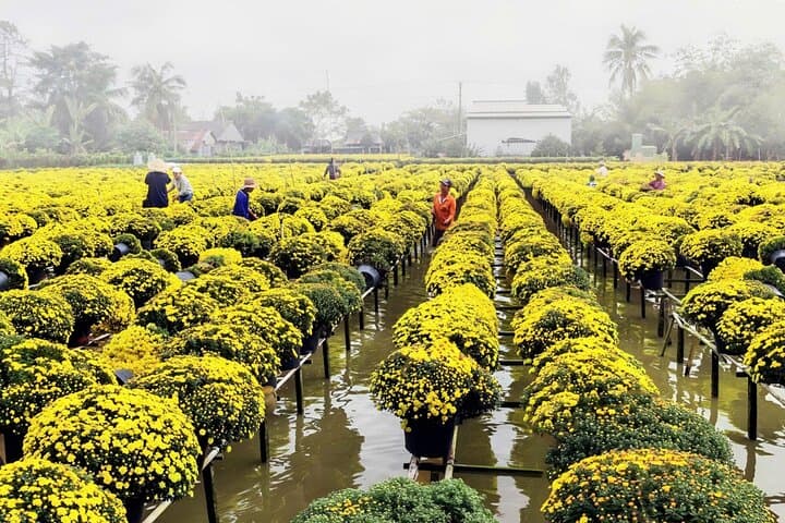 Mekong Delta 2-Day Sa Dec & Tram Chim National Park Tour — Flowers, Birds & Boat Rides