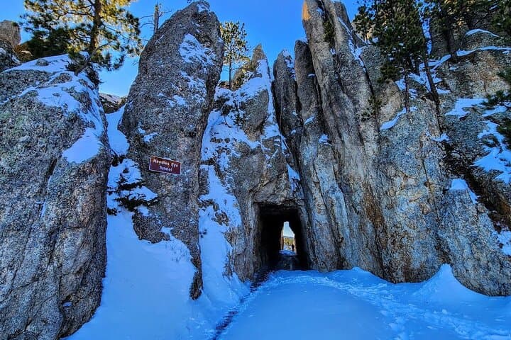 Winter Grand Circuit: Yellowstone, Grand Teton and Mount Rushmore in 7 Days photo 2