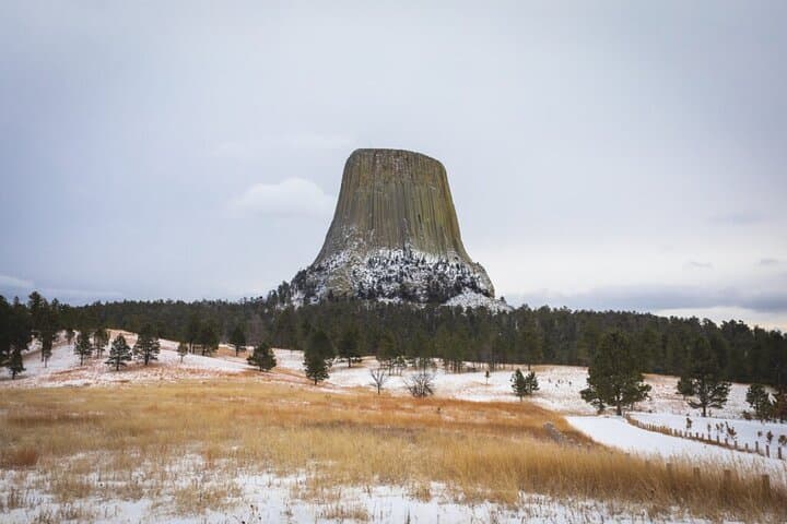 Winter Grand Circuit: Yellowstone, Grand Teton and Mount Rushmore in 7 Days photo 6