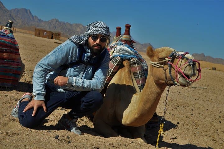 Marsa Alam Desert Safari: ATV, Buggy & Camel Ride with Bedouin Breakfast photo 3