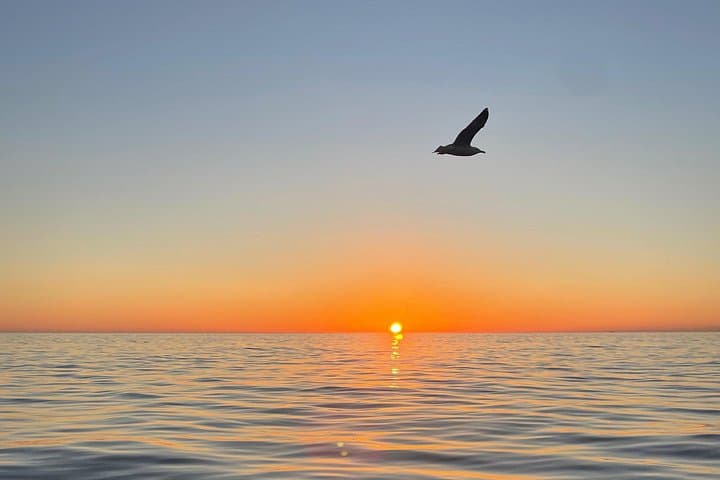 Sunset Cinque Terre Cruise from Monterosso — Golden Hour Boat Tour & Swim photo 1