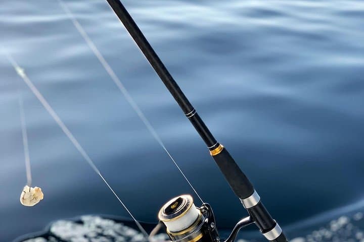 Sesimbra Sports Fishing: Pargo, Mackerel & Gilt-Head Bream Day Trip photo 3