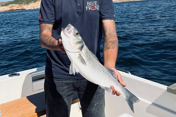Sesimbra Sports Fishing: Pargo, Mackerel & Gilt-Head Bream Day Trip photo 2