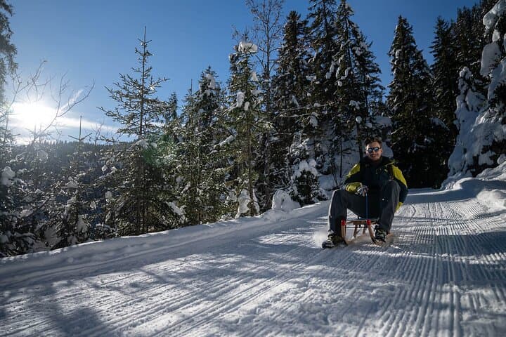 Interlaken Day Sledding: Gondola Ride to Mürren & Isenfluh Sled Run photo 5