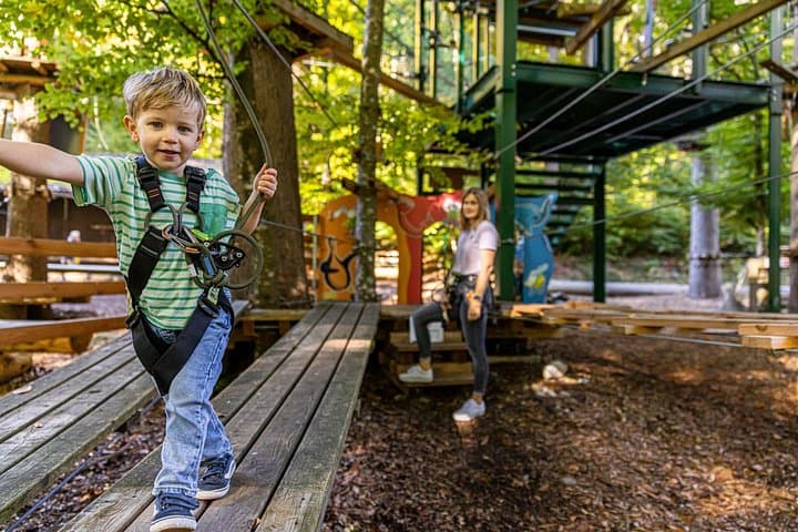 Ropes Park Interlaken — High-Ropes Adventure & Aerial Parcours in Switzerland photo 3