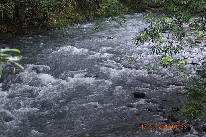 Arenal Volcano & Hot Springs Day Tour from San José photo 6