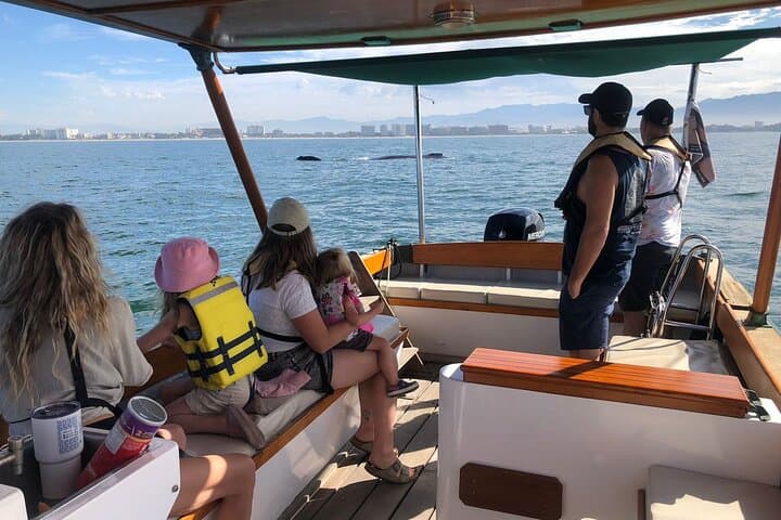 Puerto Vallarta Whale Watching: 4-Hour Eco-Friendly Small-Group Tour