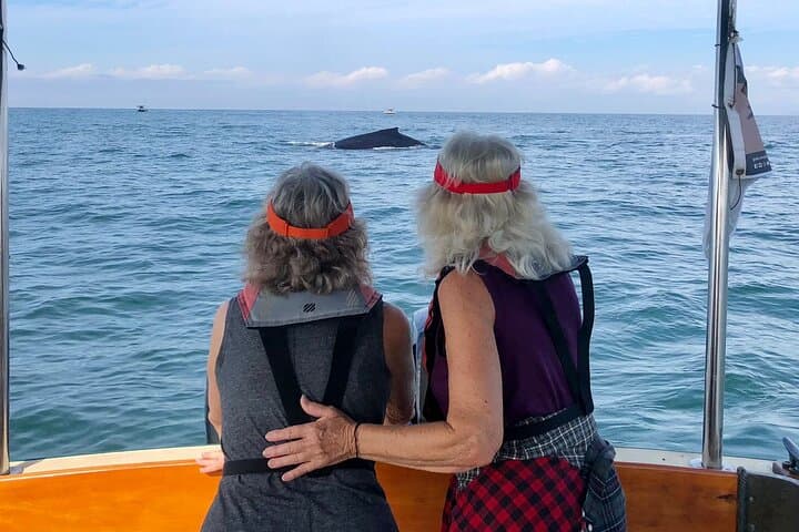 Puerto Vallarta Whale Watching: 4-Hour Eco-Friendly Small-Group Tour photo 2