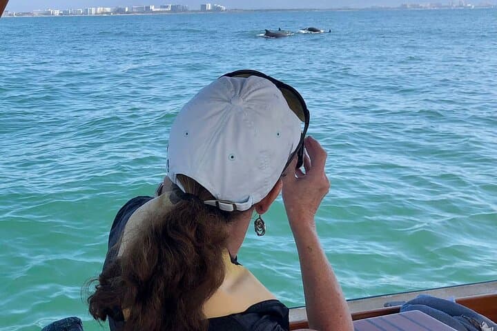 Puerto Vallarta Whale Watching: 4-Hour Eco-Friendly Small-Group Tour photo 5