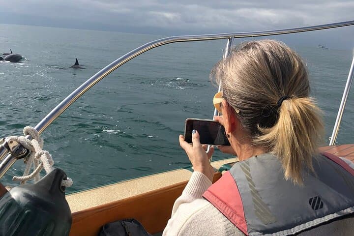 Puerto Vallarta Whale Watching: 4-Hour Eco-Friendly Small-Group Tour photo 6