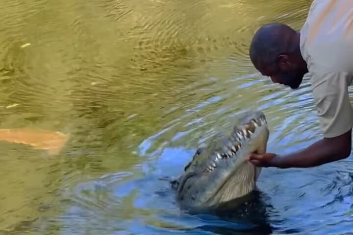 Black River Safari: Private Riverboat Tour from Montego Bay photo 2