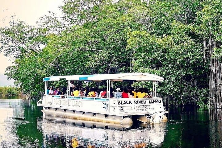 Black River Safari: Private Riverboat Tour from Montego Bay photo 3