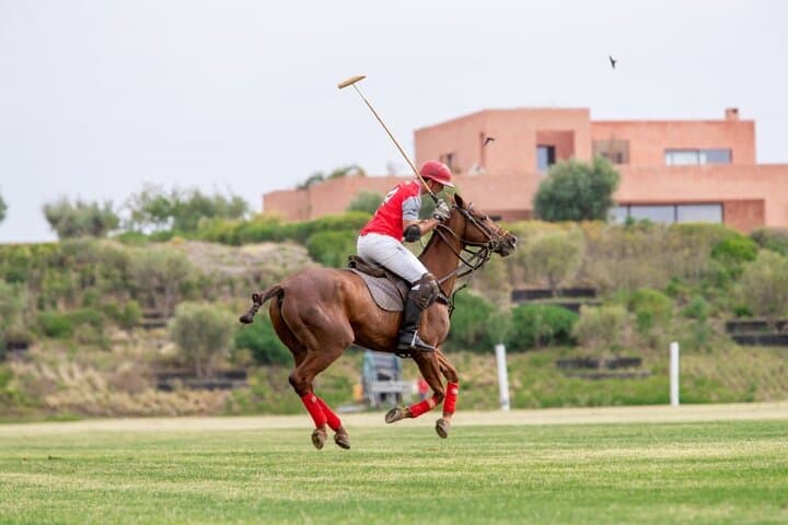 Introductory Polo at Marrakech Polo Club — Learn the Sport of Kings