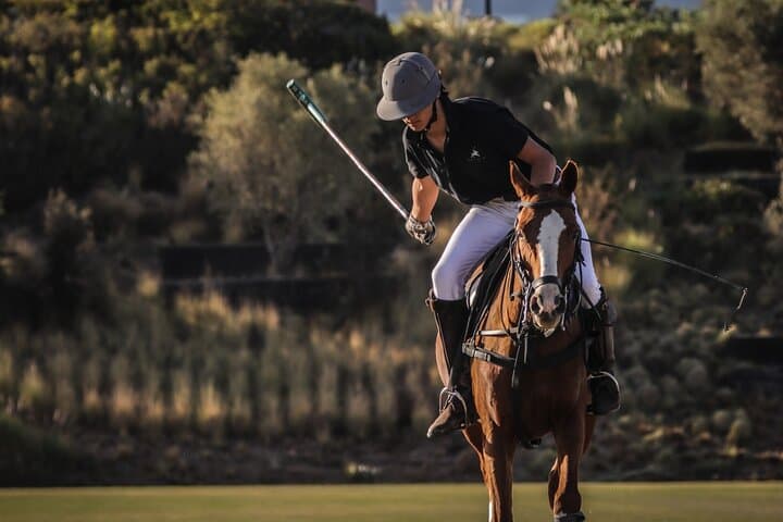 Introductory Polo at Marrakech Polo Club — Learn the Sport of Kings photo 2