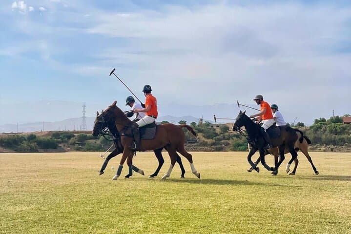 Introductory Polo at Marrakech Polo Club — Learn the Sport of Kings photo 3