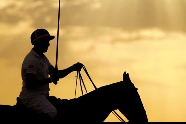 Introductory Polo at Marrakech Polo Club — Learn the Sport of Kings photo 4