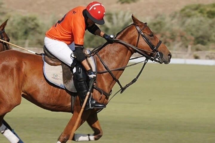 Introductory Polo at Marrakech Polo Club — Learn the Sport of Kings photo 5